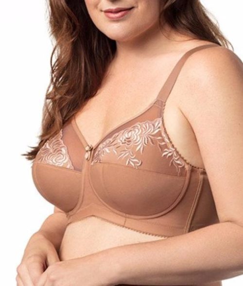 woman wearing light brown bra with sheer detail